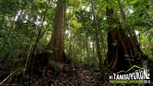 Mount Tambuyukon Expedition  